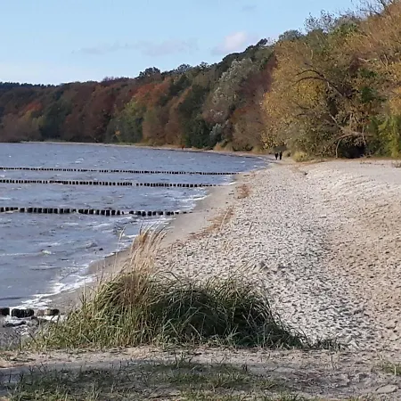 Σπίτι διακοπών Reetdachhaus Nord Licht Usedom Kamminke