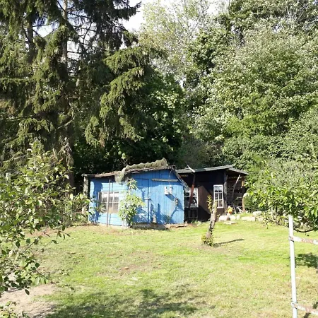 Reetdachhaus Nord Licht Usedom Σπίτι διακοπών *