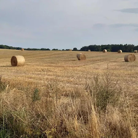 Σπίτι διακοπών Reetdachhaus Nord Licht Usedom *